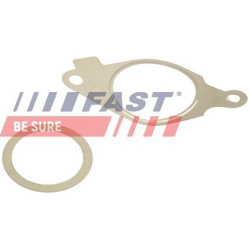 tarpiklių rinkinys, AGR sistema
                                FAST                                                FT50614,