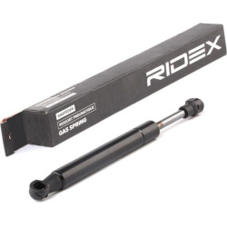 dujinė spyruoklė, gaubtas
                                RIDEX                                                514G0011, Ne