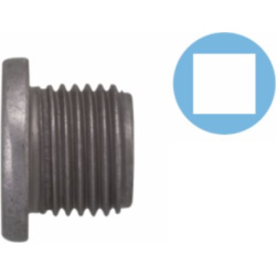 alyvos išleidimo kaištis, alyvos karteris
                                CORTECO                                220100S, C