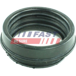 tarpiklis, oro filtro korpuso įsiurbimo žarna
                                FAST                                         