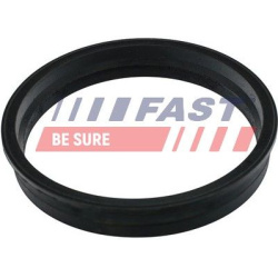 Sandariklis, degalų filtras
                                FAST                                                FT48505, FAS
