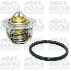 termostatas, aušinimo skystis
                                MEAT &amp; DORIA                                              