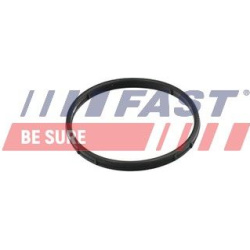 tarpiklis, EGR vožtuvas
                                FAST                                                FT50602, FAST, F