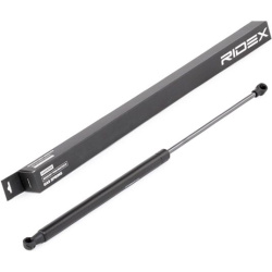 dujinė spyruoklė, gaubtas
                                RIDEX                                                514G0091, Ne