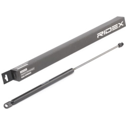 dujinė spyruoklė, bagažinė
                                RIDEX                                                219G0931,