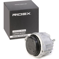 variklio montavimas
                                RIDEX                                                247E0486, Nenurodyta