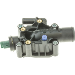 Termostatas
                                MOTORAD                                                618-91K, MOTORAD, 618-91K,