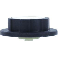 dangtelis, radiatorius
                                MOTORAD                                                T54, MOTORAD, T