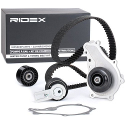 vandens siurblio ir paskirstymo diržo komplektas
                                RIDEX                                      