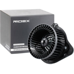 vidaus pūtiklis
                                RIDEX                                                2669I0033, Nenurodytas 