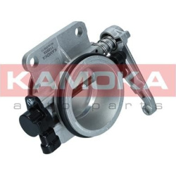 droselio korpusas
                                KAMOKA                                                112056, KAMOKA, 11205