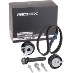 paskirstymo diržo komplektas
                                RIDEX                                                307T0214, 