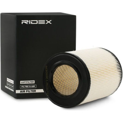 oro filtras
                                RIDEX                                                8A0551, Nenurodytas gamintoj