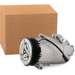 kompresorius, oro kondicionierius
                                RIDEX                                                447K02