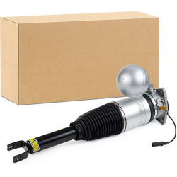 pneumatinės spyruoklės statramstis
                                RIDEX                                                411