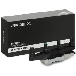 ritė, uždegimas
                                RIDEX                                                689C0314, Nenurodytas 