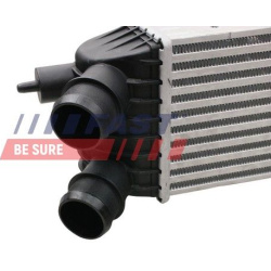 tarpinis suslėgto oro aušintuvas, kompresorius
                                FAST                                FT55602,