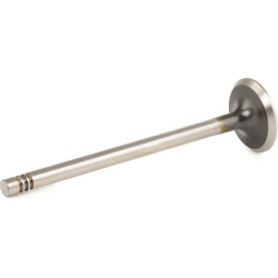 išmetimo vožtuvas
                                RIDEX                                                1270O0019, Nenurodyt