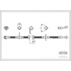 stabdžių žarnelė
                                CORTECO                                                19032899, CORTECO