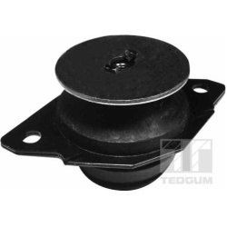 montavimas, neautomatinės transmisijos atrama
                                TEDGUM                                        