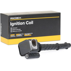 ritė, uždegimas
                                RIDEX                                                689C0015, Nenurodytas 