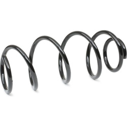 spyruoklė
                                RIDEX                                                188C1246, Nenurodytas gaminto