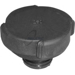 dangtelis, radiatorius
                                TRUCKTEC AUTOMOTIVE                                                08.