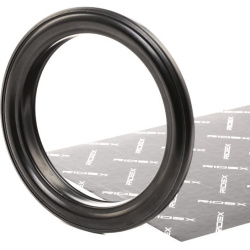 frikcinis guolis, pakabos statramsčio atramos montavimas
                                RIDEX                              