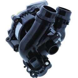termostatas, aušinimo skystis
                                MOTORAD                                                891-95K