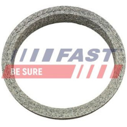 tarpiklis, išleidimo kolektorius
                                FAST-SPEC                                FT84818, FAST-SPEC