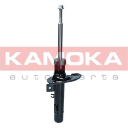 amortizatorius
                                KAMOKA                                                2001231, KAMOKA, 2001231