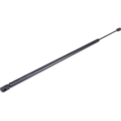 dujinė spyruoklė, bagažinė
                                RIDEX                                                219G1007,