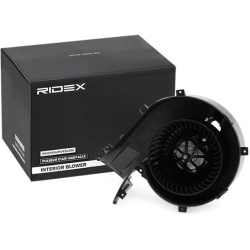 vidaus pūtiklis
                                RIDEX                                                2669I0032, Nenurodytas 