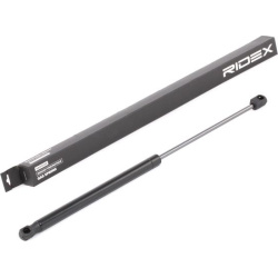 dujinė spyruoklė, gaubtas
                                RIDEX                                                514G0059, Ne