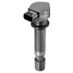 ritė, uždegimas
BorgWarner (BERU) ZSE 020, B