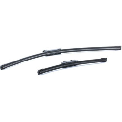 valytuvai
                                RIDEX                                                298W0300, Nenurodytas gamintoj