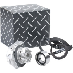 vandens siurblio ir paskirstymo diržo komplektas
                                RIDEX                                      