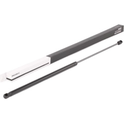dujinė spyruoklė, gaubtas
                                RIDEX                                                514G0119, Ne