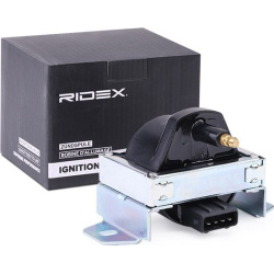 ritė, uždegimas
                                RIDEX                                                689C0352, Nenurodytas 