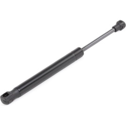 dujinė spyruoklė, gaubtas
                                RIDEX                                                514G0134, Ne