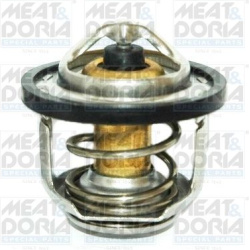 termostatas, aušinimo skystis
                                MEAT &amp; DORIA                                              