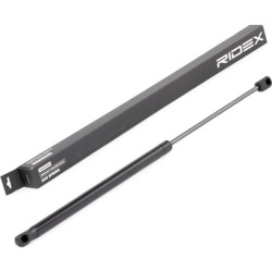 dujinė spyruoklė, gaubtas
                                RIDEX                                                514G0088, Ne