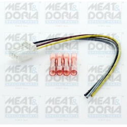 diržas, kombinuotas galinis žibintas
                                MEAT &amp; DORIA                                      