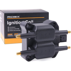 ritė, uždegimas
                                RIDEX                                                689C0411, Nenurodytas 