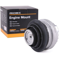 variklio montavimas
                                RIDEX                                                247E0359, Nenurodyta