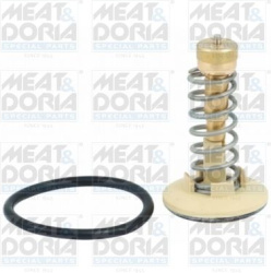 termostatas, aušinimo skystis
                                MEAT &amp; DORIA                                92646, Nenurod