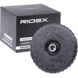 pakabos statramsčio atraminis guolis
                                RIDEX                                                11