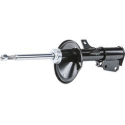 amortizatorius
                                RIDEX                                                854S2244, Nenurodytas gam