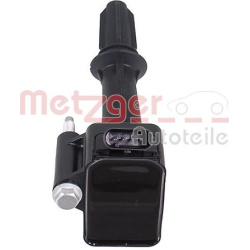 ritė, uždegimas
                                METZGER                                0880549, Nenurodytas gamintojas, 088