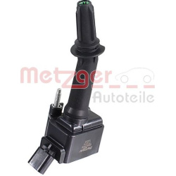 ritė, uždegimas
                                METZGER                                                0880549, Nenurodytas